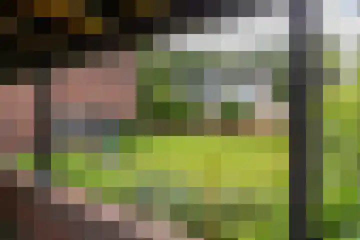 Kastanjelaan 43 Glimmen thumbnail 19