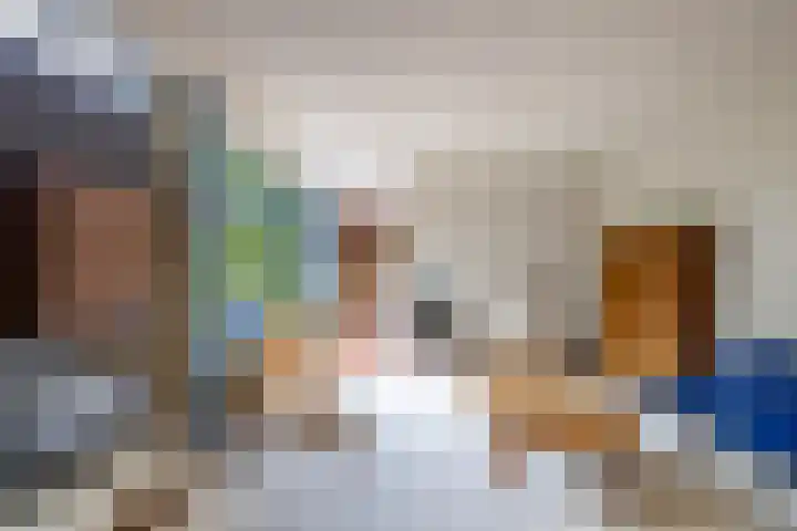 Kastanjelaan 43 Glimmen thumbnail 26