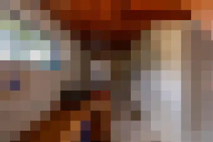 Kastanjelaan 43 Glimmen thumbnail 32