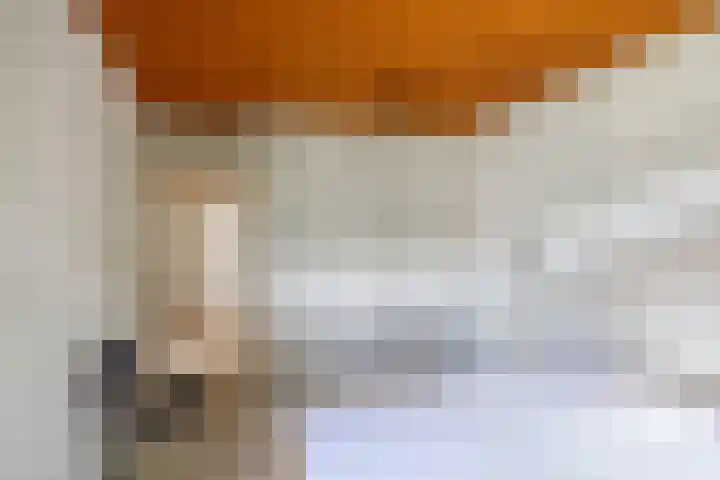 Kastanjelaan 43 Glimmen thumbnail 33