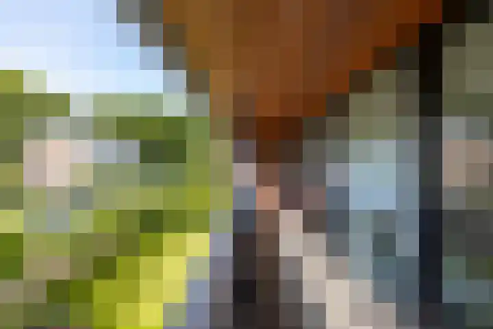 Kastanjelaan 43 Glimmen thumbnail 34