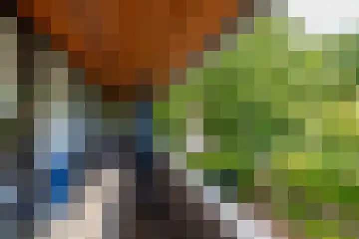 Kastanjelaan 43 Glimmen thumbnail 35