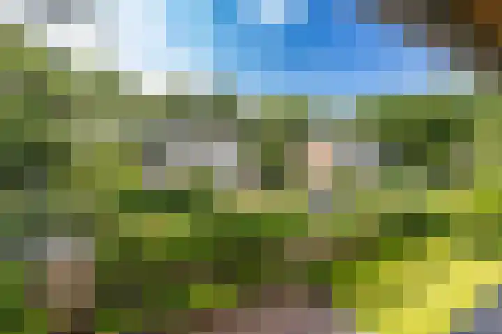 Kastanjelaan 43 Glimmen thumbnail 36