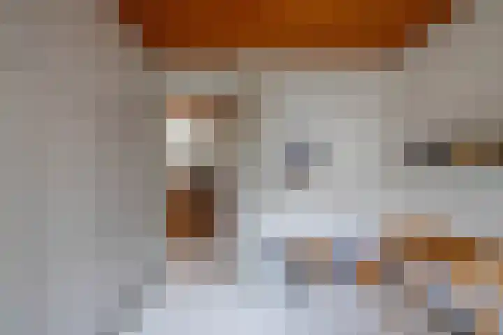 Kastanjelaan 43 Glimmen thumbnail 39