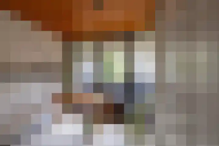 Kastanjelaan 43 Glimmen thumbnail 40
