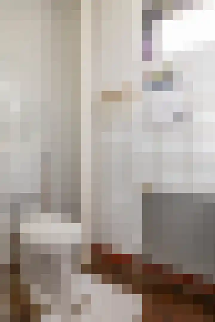Kastanjelaan 43 Glimmen thumbnail 41