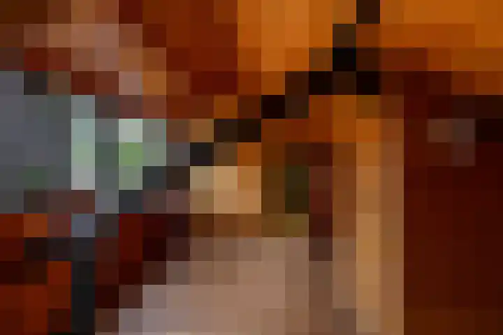 Kastanjelaan 43 Glimmen thumbnail 51