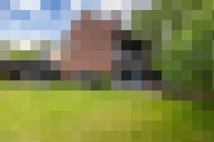Kastanjelaan 43 Glimmen thumbnail 56