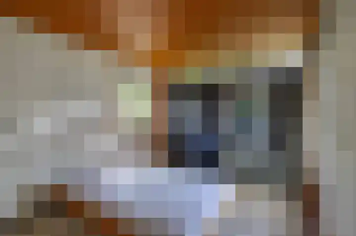 Kastanjelaan 43 Glimmen thumbnail 6