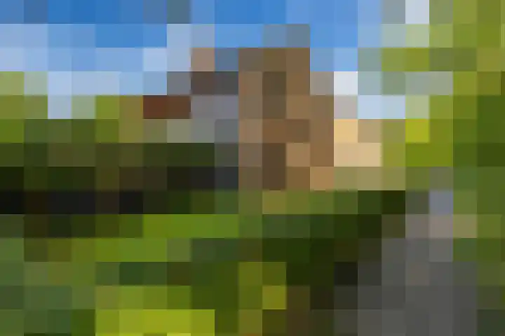 Kastanjelaan 43 Glimmen thumbnail 8