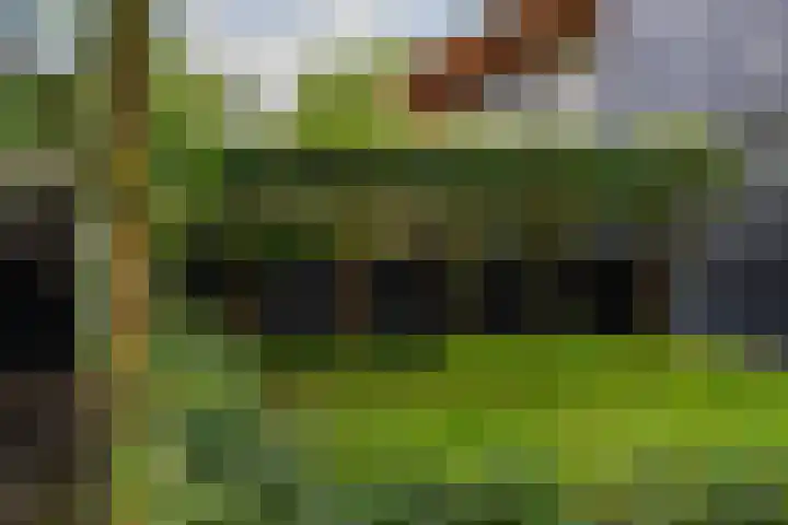 Kastanjelaan 43 Glimmen thumbnail 9
