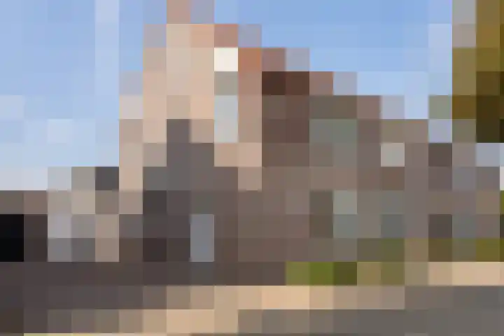 Kastanjelaan 43 Halsteren