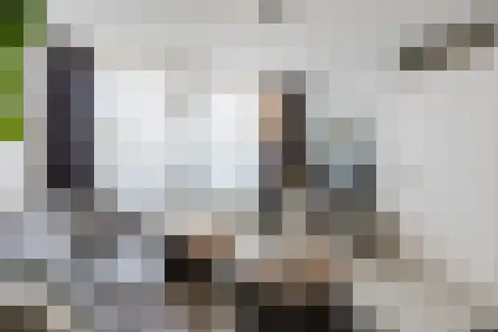 Kastanjelaan 43 Halsteren thumbnail 13