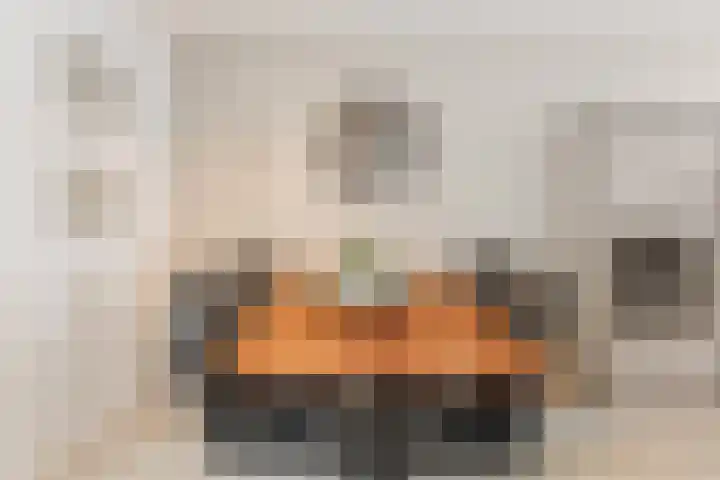 Kastanjelaan 43 Halsteren thumbnail 16