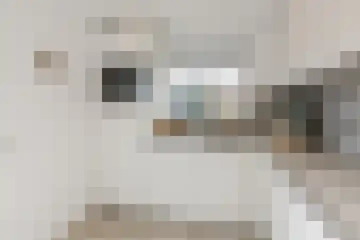 Kastanjelaan 43 Halsteren thumbnail 18