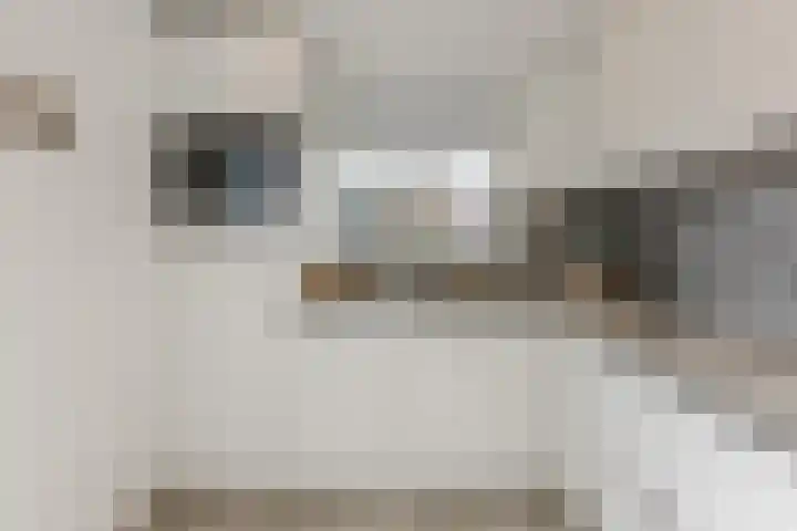 Kastanjelaan 43 Halsteren thumbnail 19
