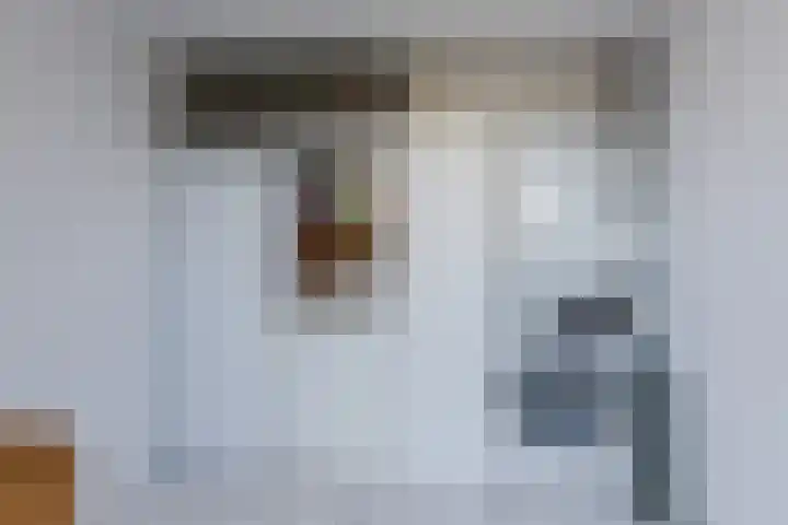 Kastanjelaan 43 Halsteren thumbnail 22