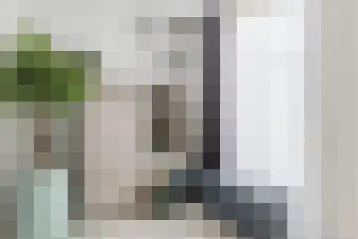 Kastanjelaan 43 Halsteren thumbnail 23