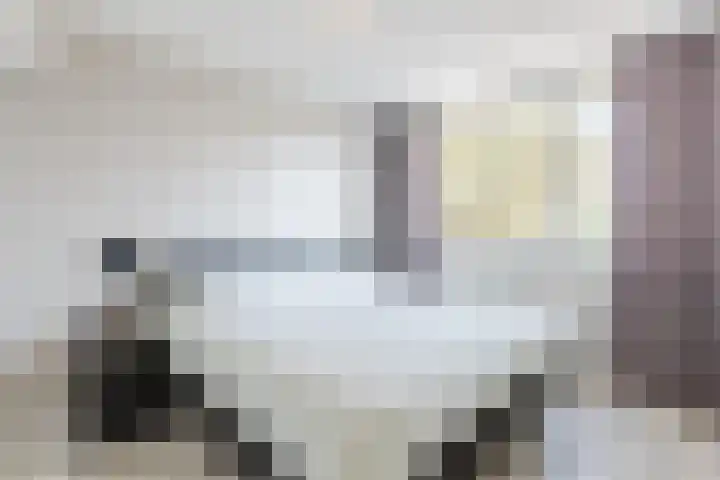 Kastanjelaan 43 Halsteren thumbnail 29