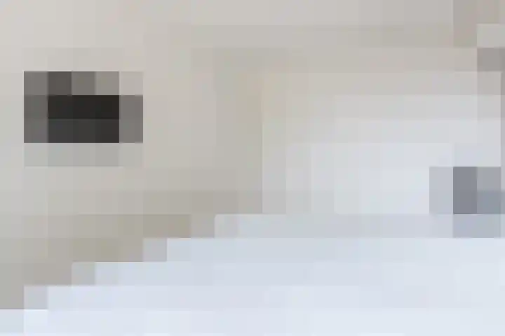 Kastanjelaan 43 Halsteren thumbnail 31