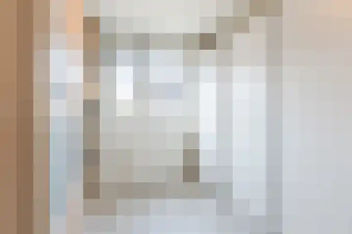 Kastanjelaan 43 Halsteren thumbnail 32