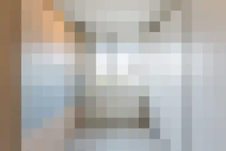 Kastanjelaan 43 Halsteren thumbnail 33