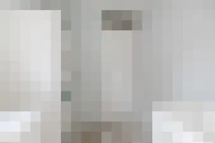 Kastanjelaan 43 Halsteren thumbnail 36