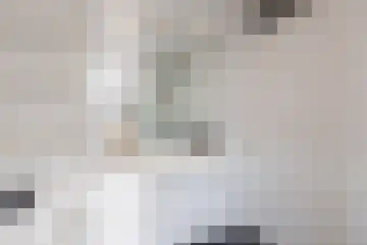 Kastanjelaan 43 Halsteren thumbnail 37