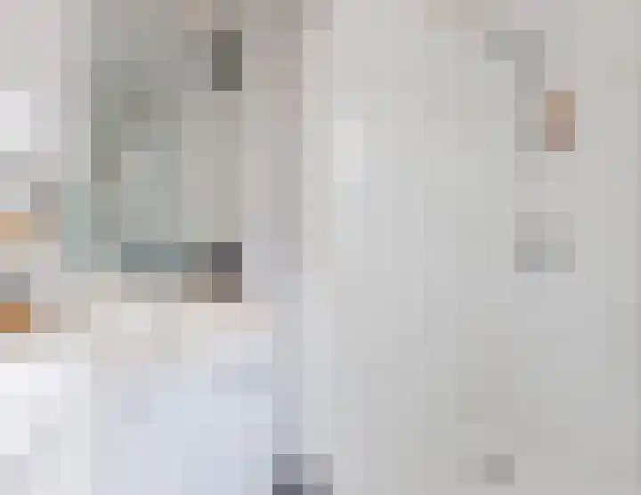 Kastanjelaan 43 Halsteren thumbnail 40