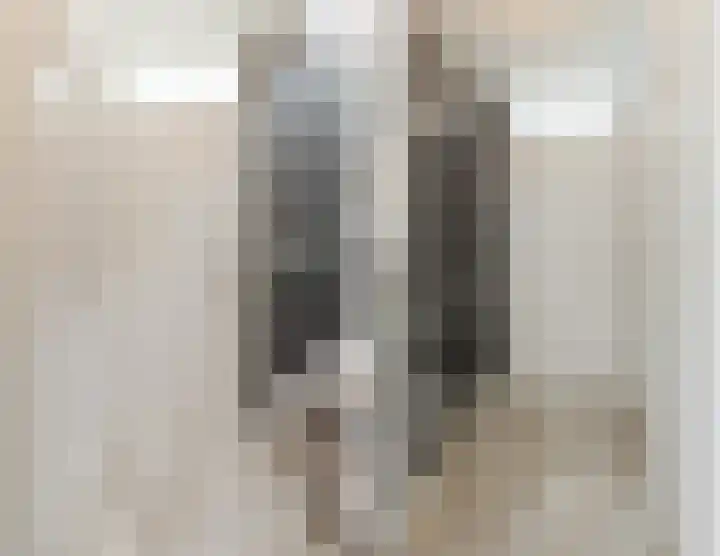 Kastanjelaan 43 Halsteren thumbnail 43
