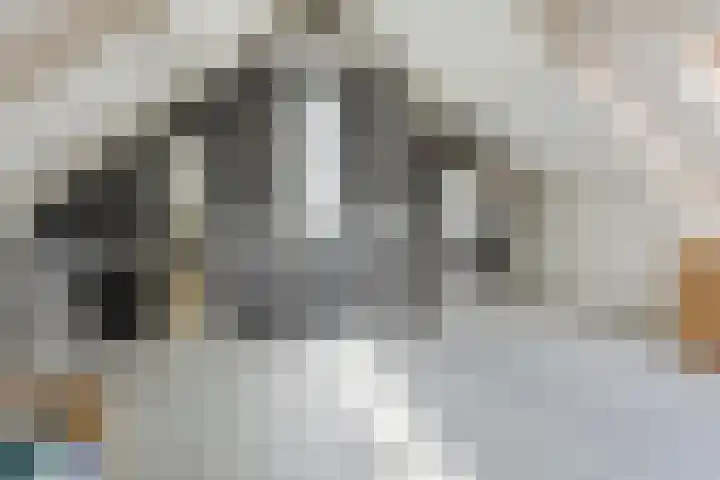 Kastanjelaan 43 Halsteren thumbnail 47