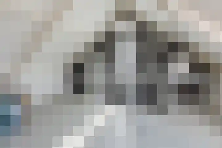 Kastanjelaan 43 Halsteren thumbnail 48