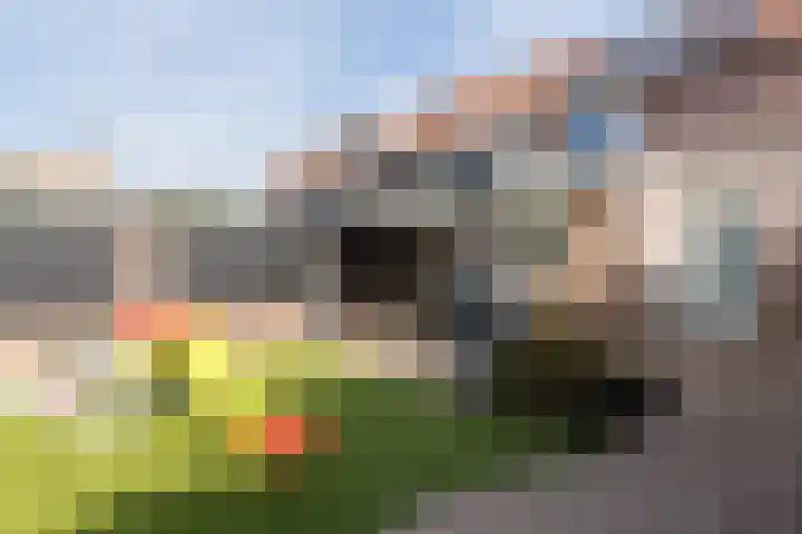 Kastanjelaan 43 Halsteren thumbnail 5