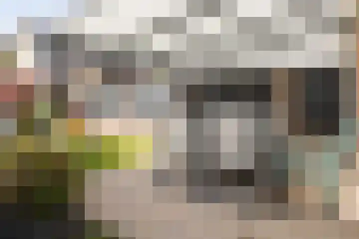Kastanjelaan 43 Halsteren thumbnail 50