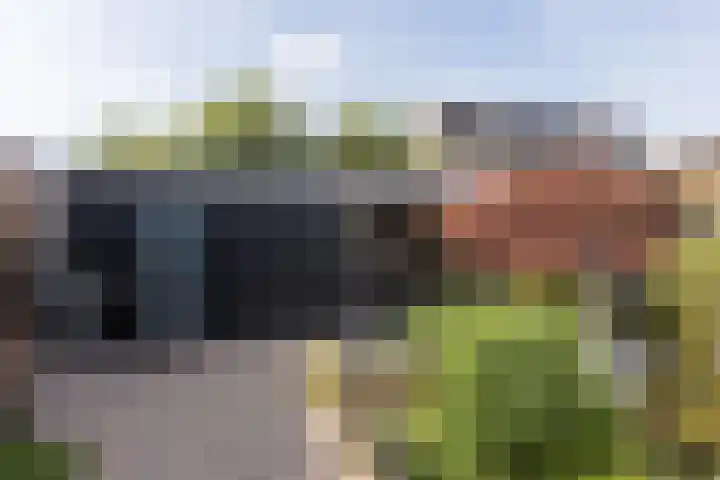 Kastanjelaan 43 Halsteren thumbnail 52