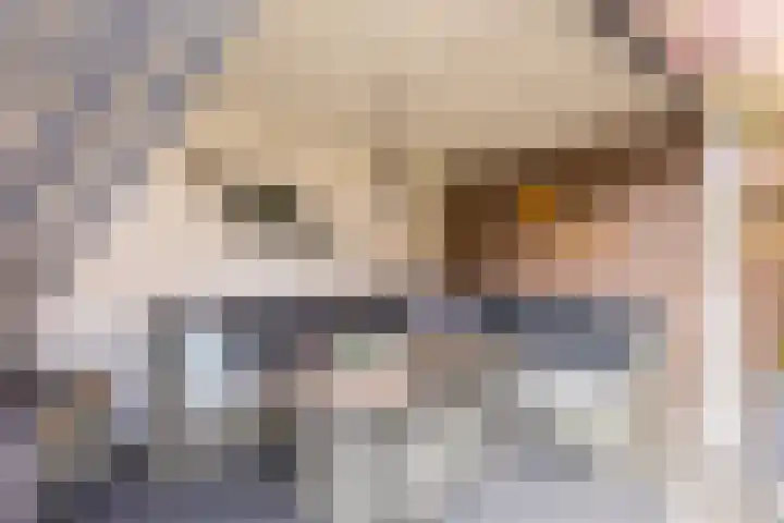 Kastanjelaan 43 Halsteren thumbnail 53