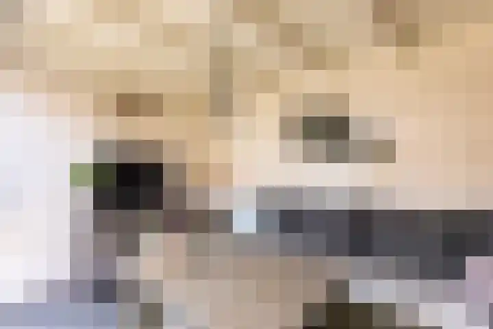 Kastanjelaan 43 Halsteren thumbnail 54