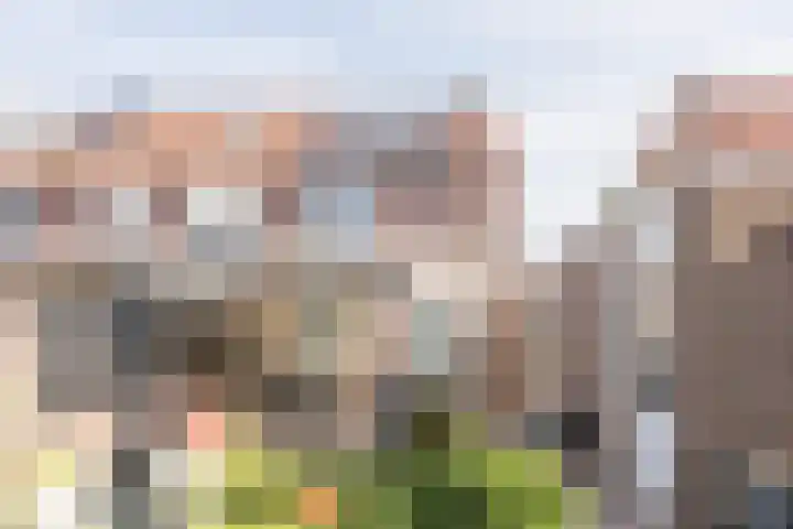 Kastanjelaan 43 Halsteren thumbnail 57