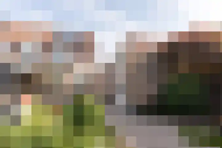 Kastanjelaan 43 Halsteren thumbnail 58