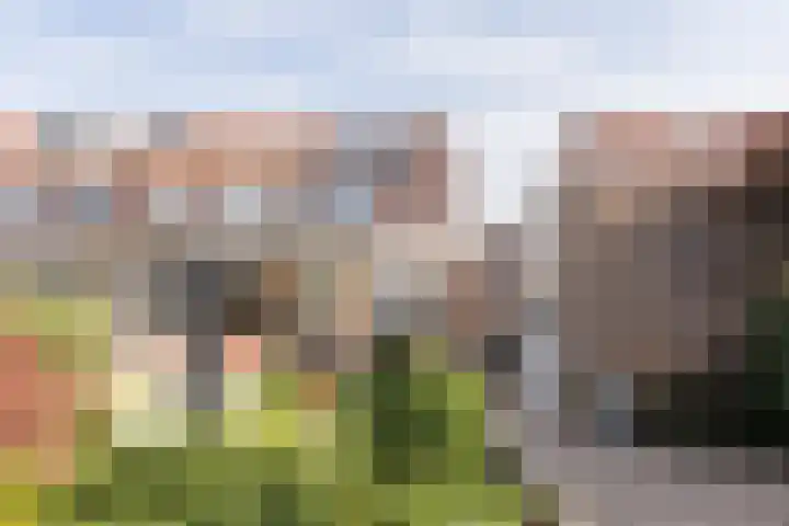 Kastanjelaan 43 Halsteren thumbnail 59