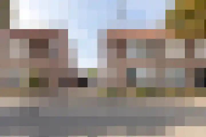 Kastanjelaan 43 Halsteren thumbnail 7