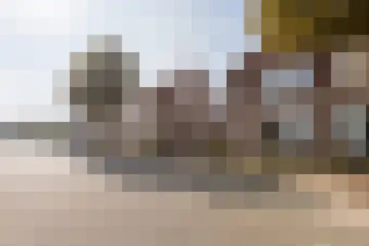 Kastanjelaan 43 Halsteren thumbnail 9