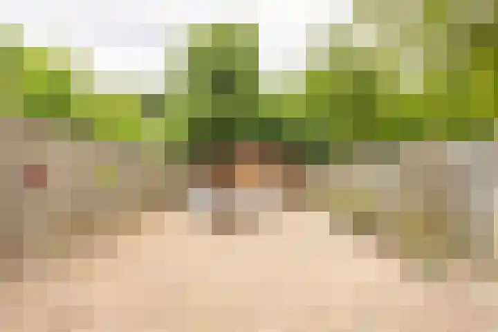 Kastanjelaan 43 Hoensbroek thumbnail 28