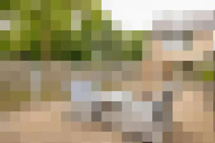 Kastanjelaan 43 Hoensbroek thumbnail 30
