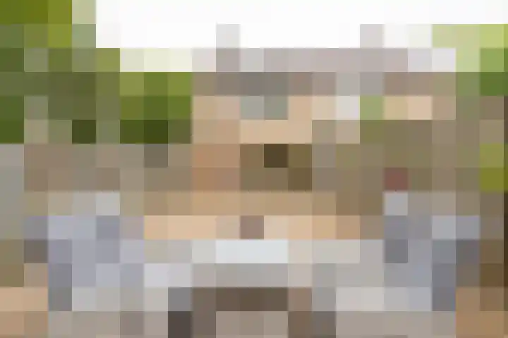 Kastanjelaan 43 Hoensbroek thumbnail 31