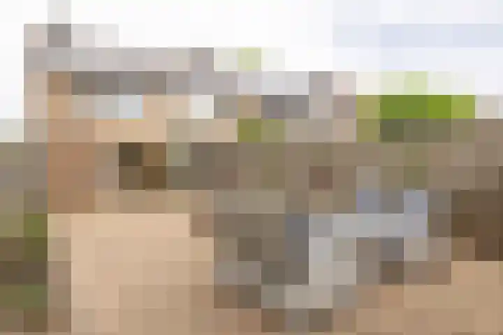 Kastanjelaan 43 Hoensbroek thumbnail 32