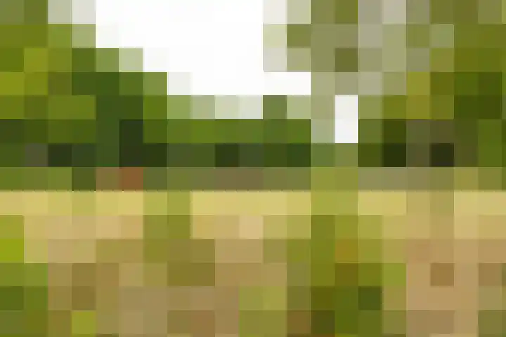 Kastanjelaan 43 Hoensbroek thumbnail 33
