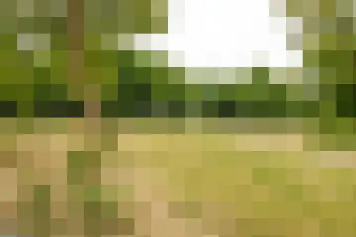 Kastanjelaan 43 Hoensbroek thumbnail 34