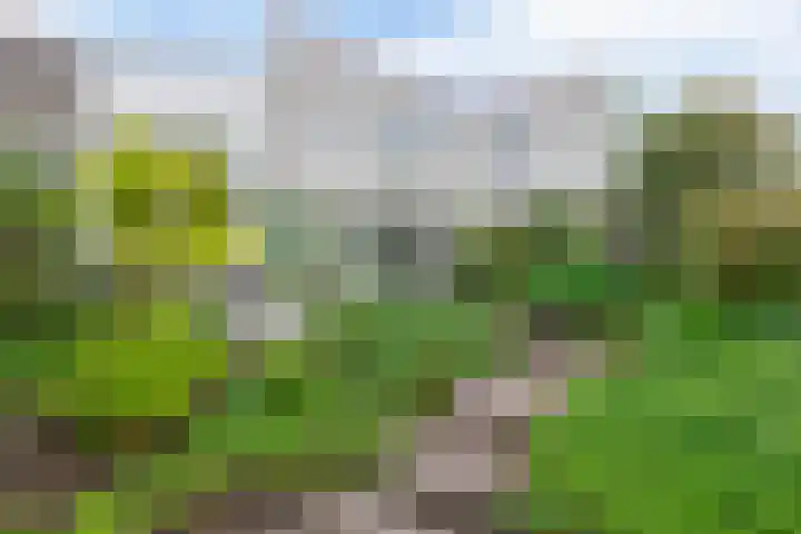Kastanjelaan 43 Waddinxveen thumbnail 28