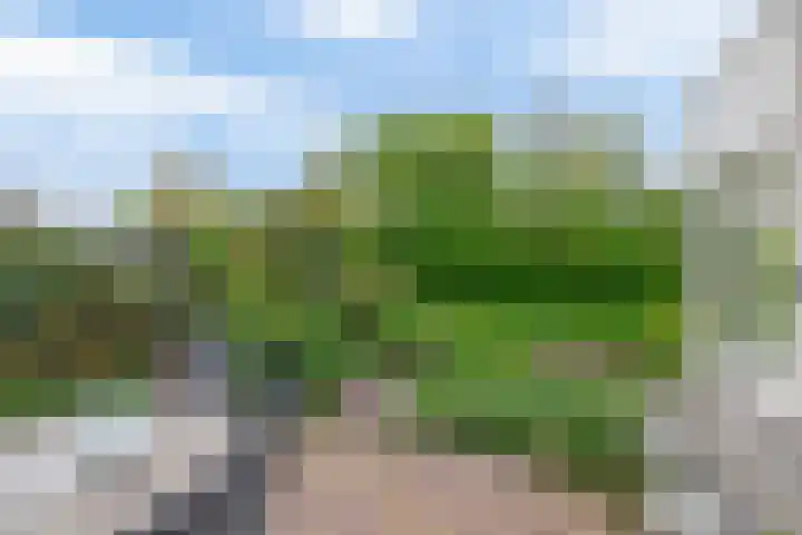 Kastanjelaan 43 Waddinxveen thumbnail 29